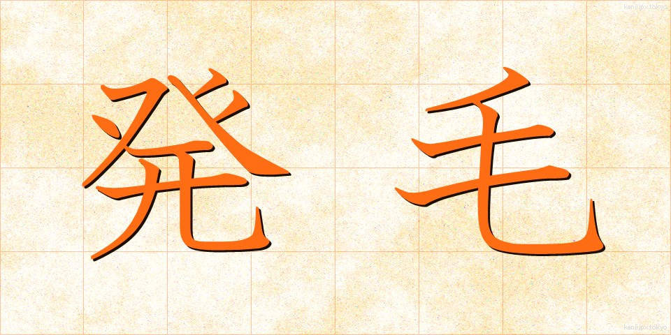 発毛 (はつもう)
