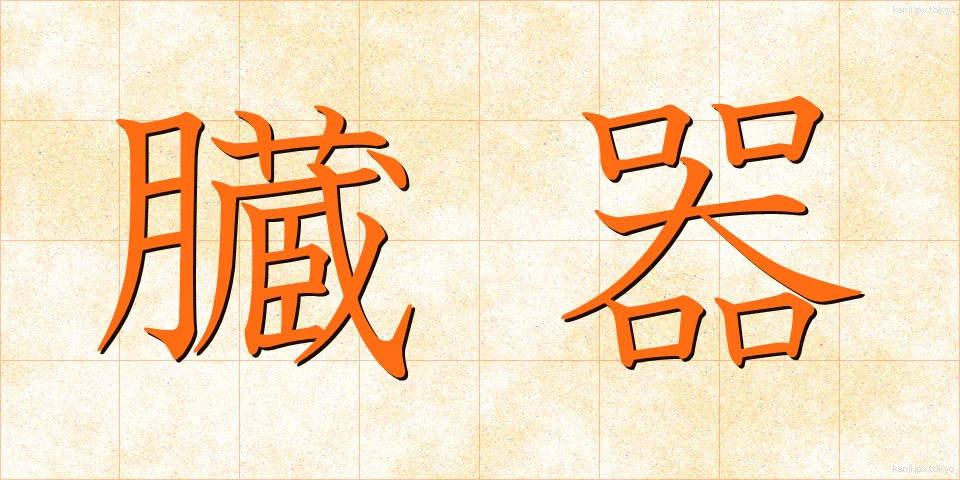 臓器 (ぞうき)
