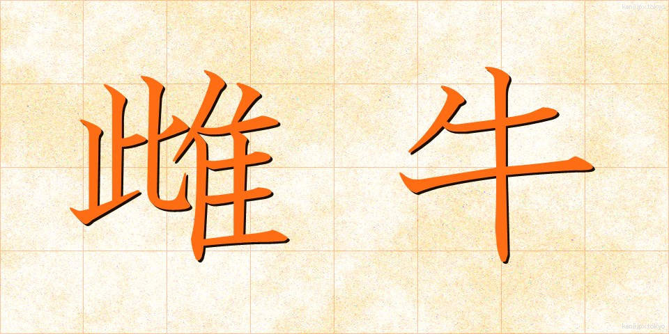 雌牛 (めうし)
