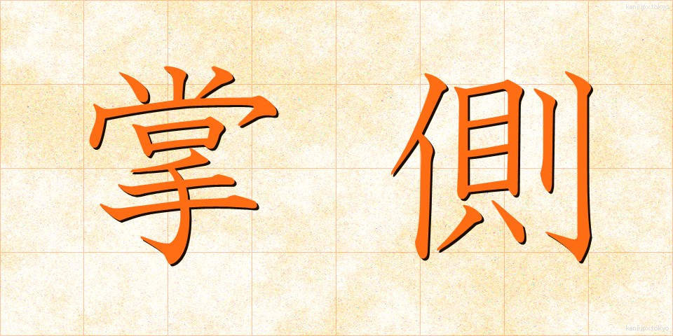 掌側 (しょうそく)