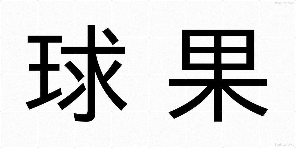 球果 (きゅうか)