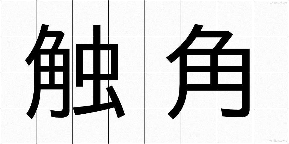 触角 (しょっかく)