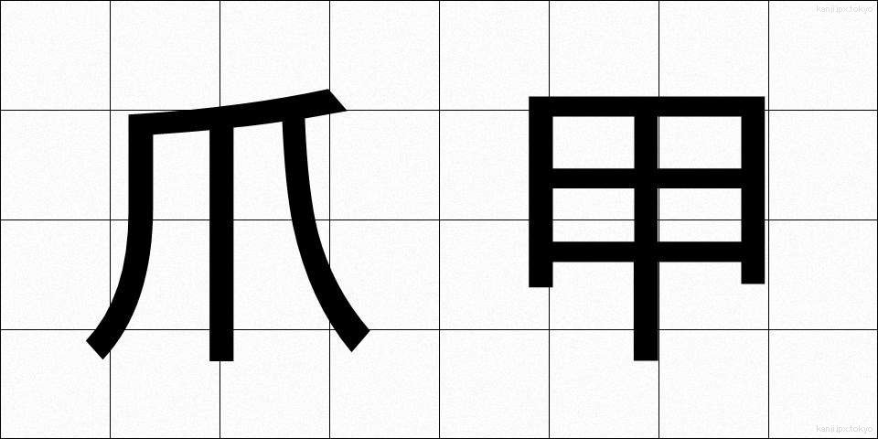 爪甲 (そうこう)