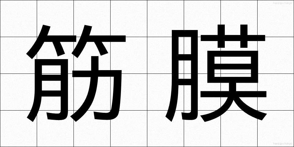 筋膜 (きんまく)