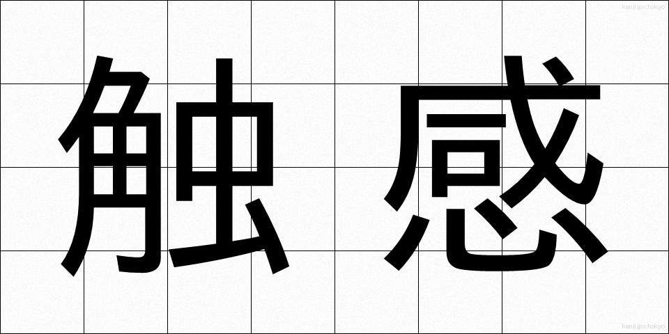 触感 (しょっかん)