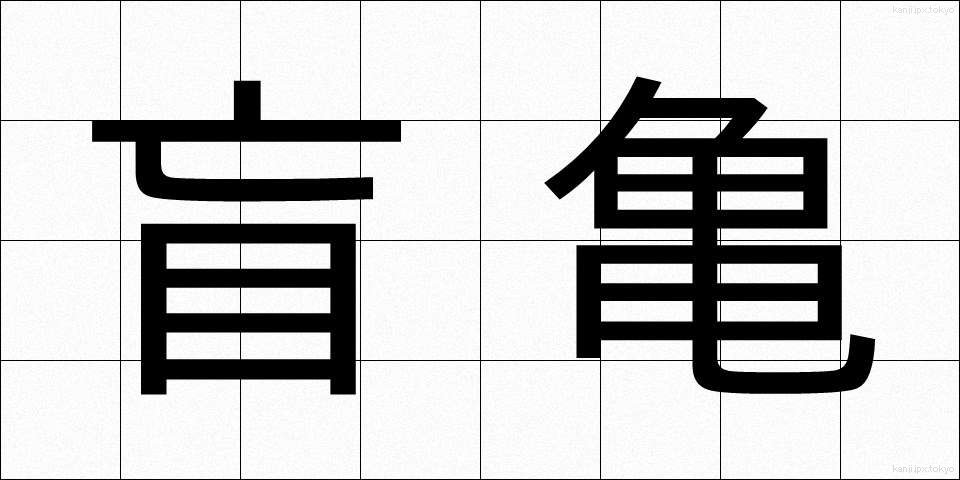 盲亀 (もうき)