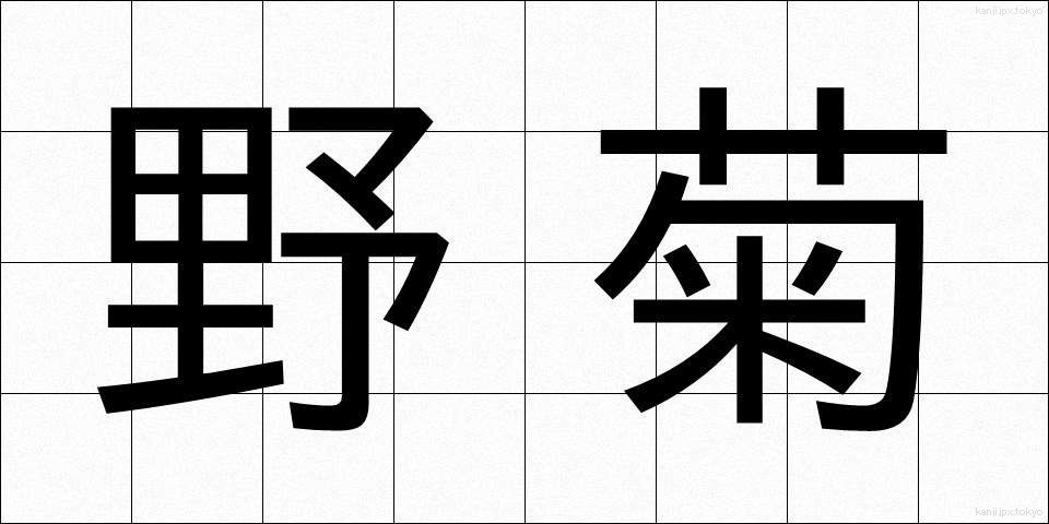 野菊 (のぎく)
