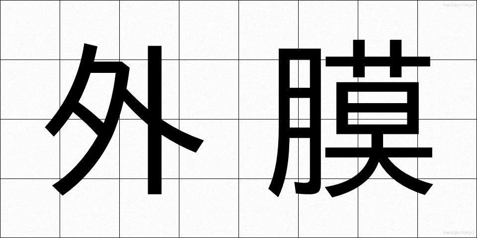 外膜 (がいまく)