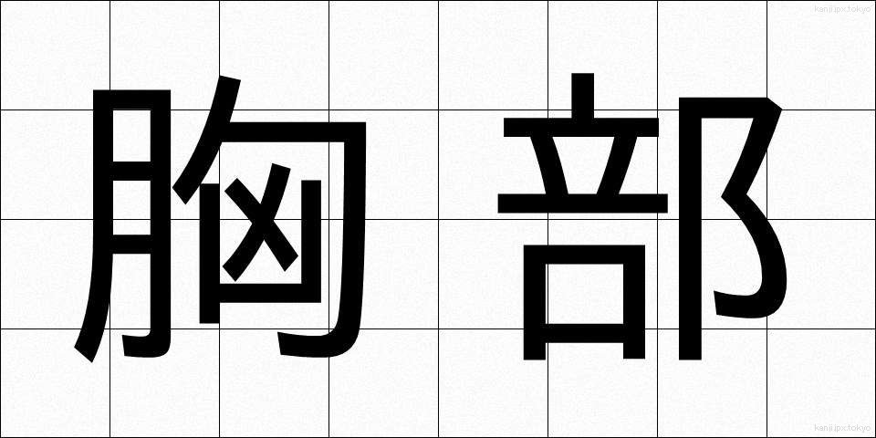 胸部 (きょうぶ)