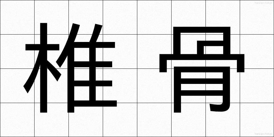 椎骨 (しいこつ)