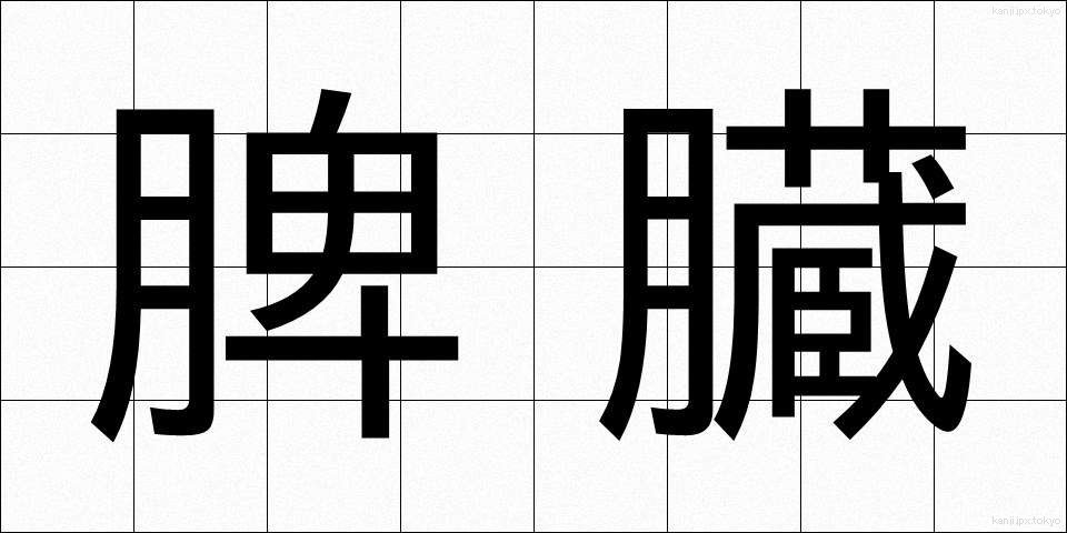 脾臓 (ひぞう)