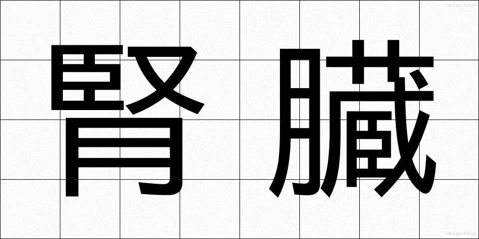 腎臓 (じんぞう)