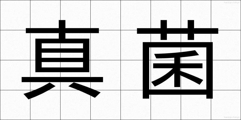 真菌 (しんきん)