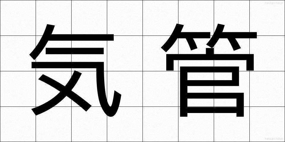 気管 (きかん)