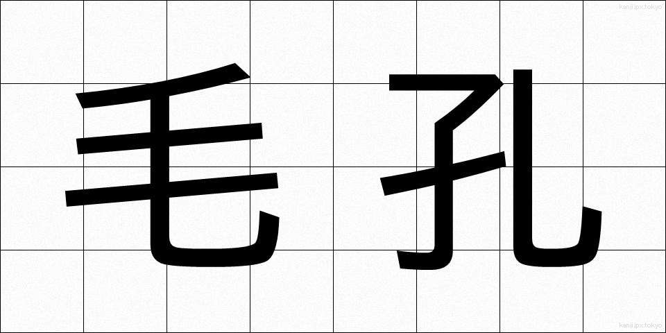 毛孔 (けこう)