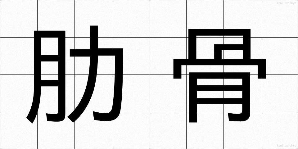 肋骨 (ろっこつ)