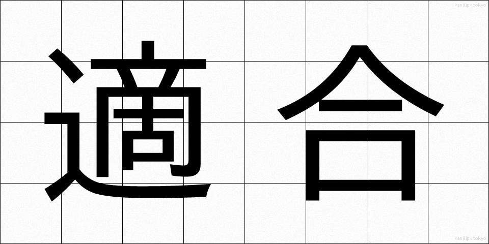 適合 (てきごう)