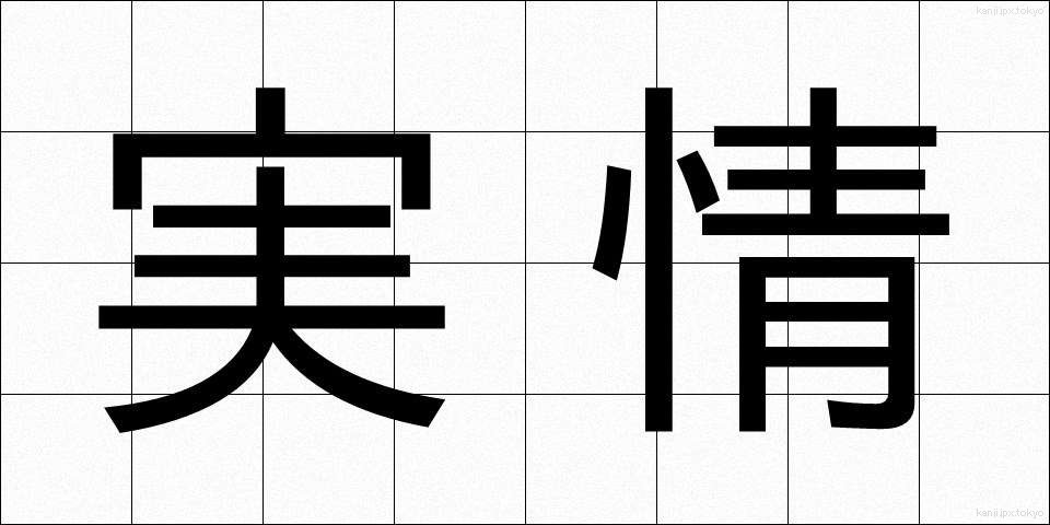 実情 (じつじょう)