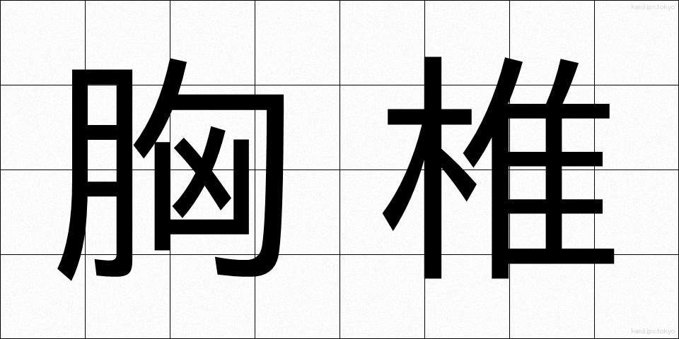 胸椎 (きょうつい)