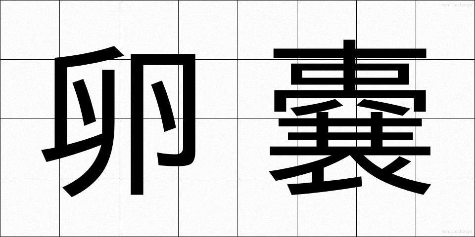 卵嚢 (らんのう)