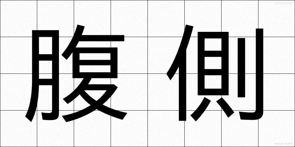 腹側 (ふくそく)