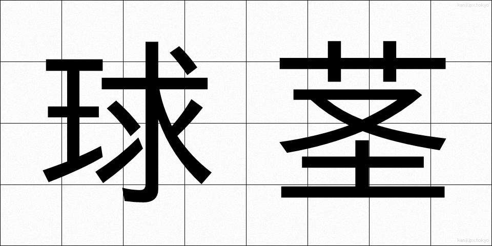 球茎 (きゅうけい)
