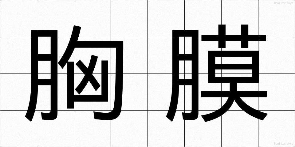 胸膜 (きょうまく)