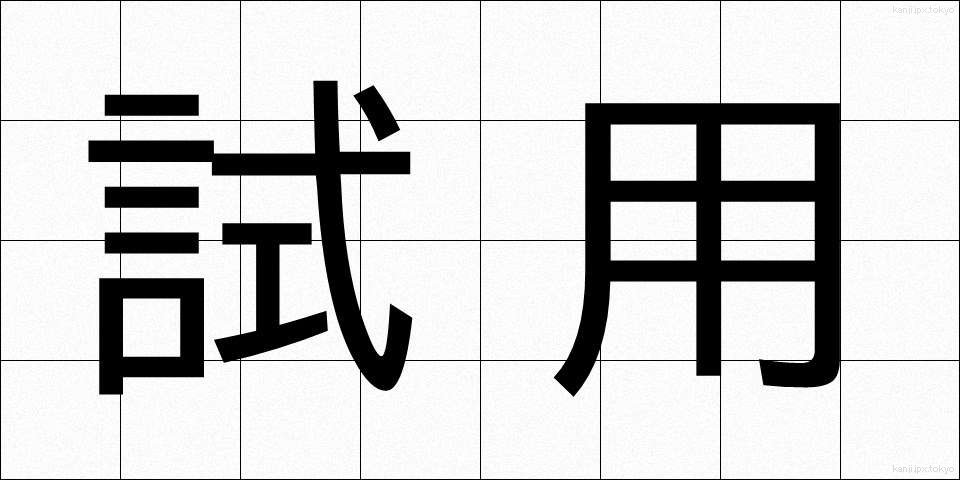 試用 (しよう)