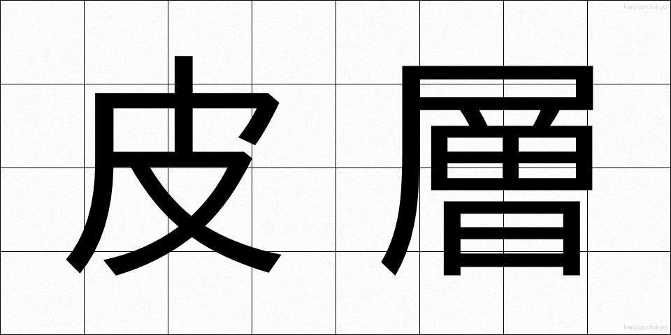 皮層 (ひそう)