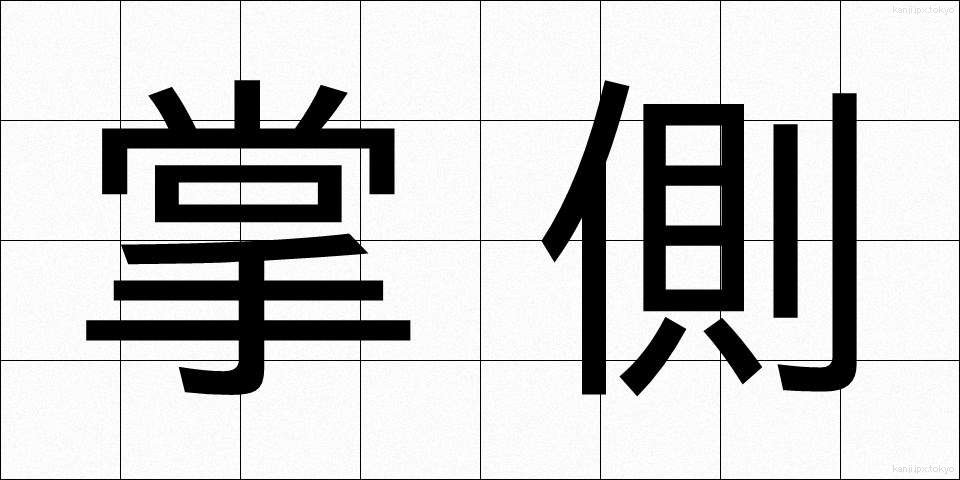掌側 (しょうそく)