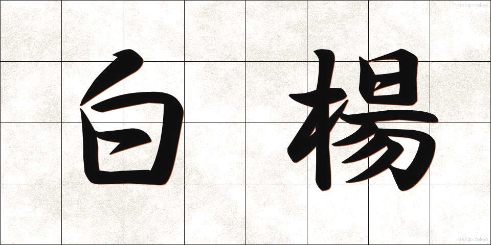 白楊 (はくよう)