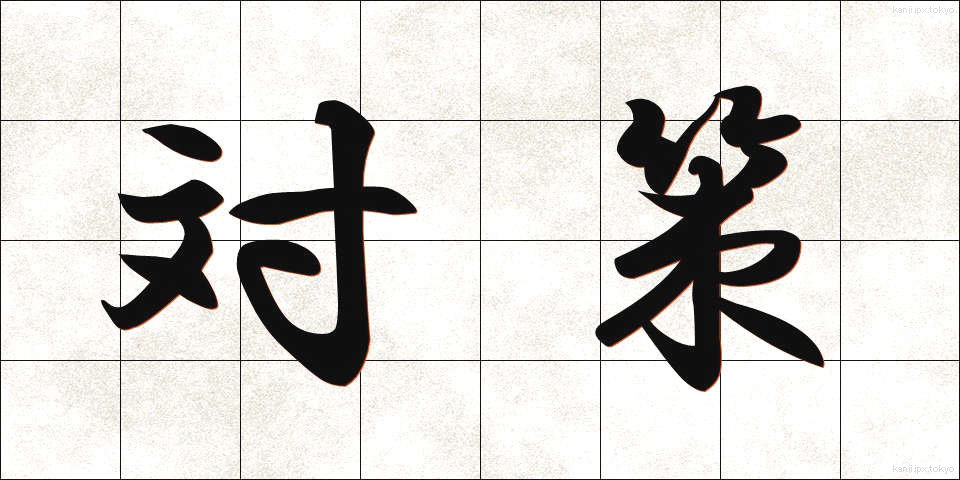 対策 (たいさく)