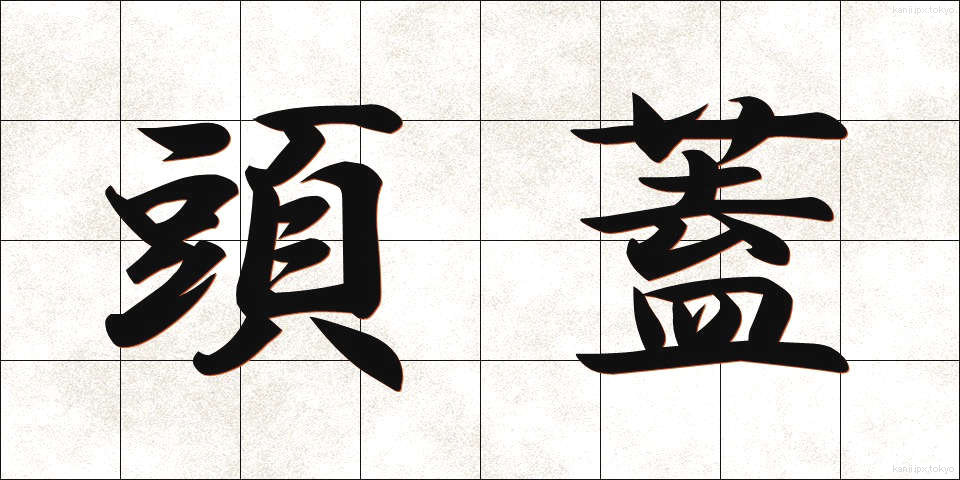 頭蓋 (とうがい)