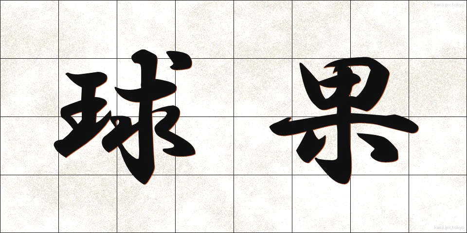 球果 (きゅうか)