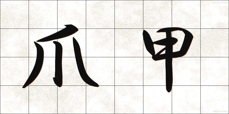 爪甲 (そうこう)