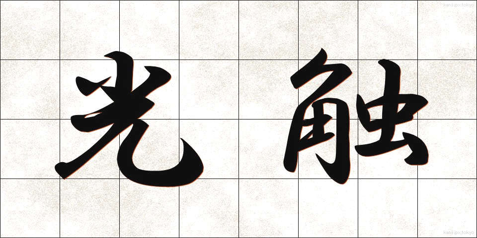 光触 (こうしょく)