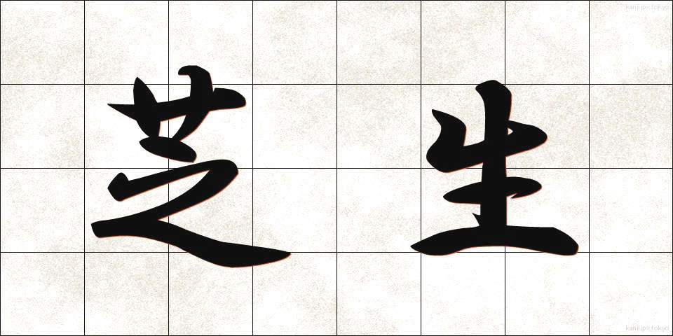 芝生 (しばふ)