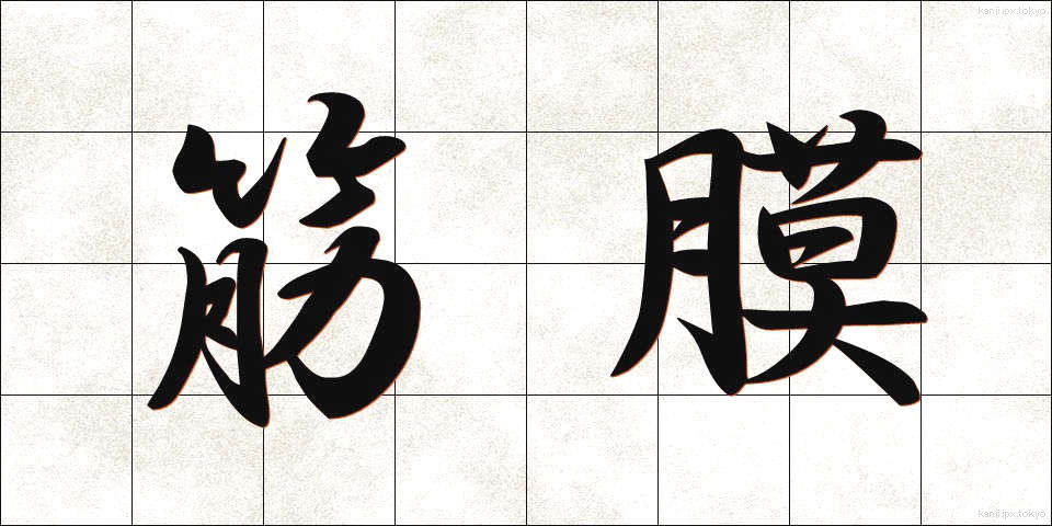 筋膜 (きんまく)