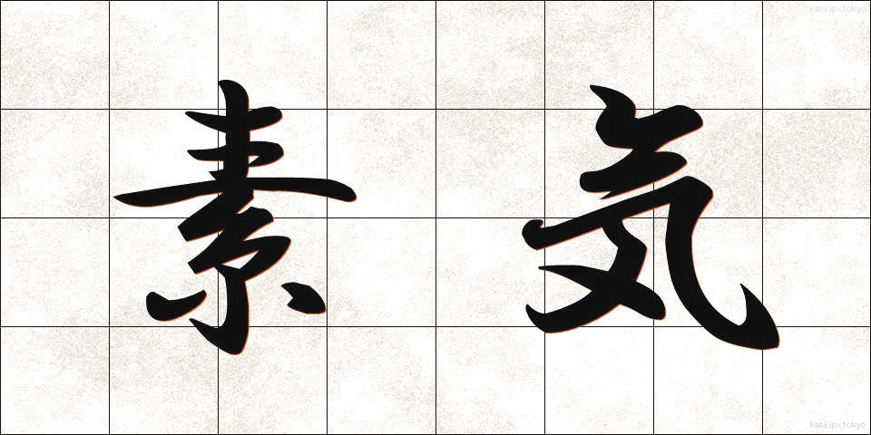 素気 (そっけ)