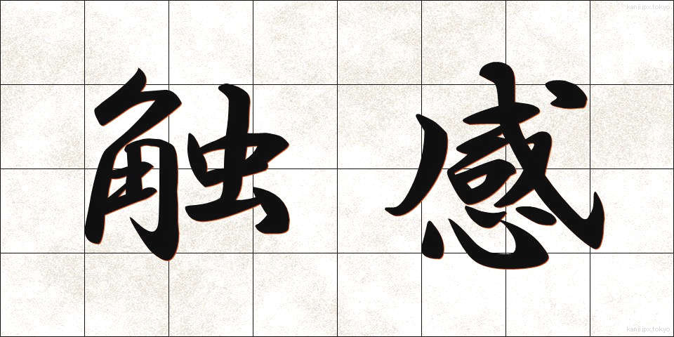 触感 (しょっかん)