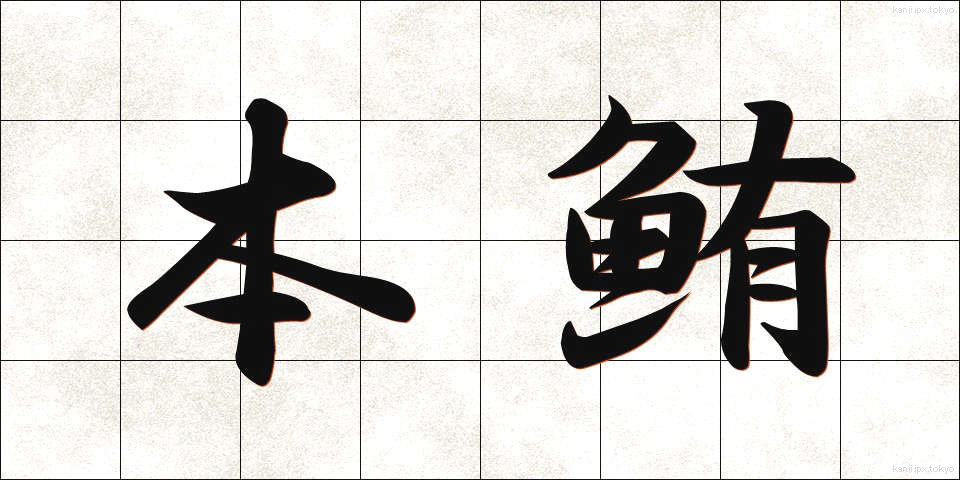 本鮪 (ほんまぐろ)