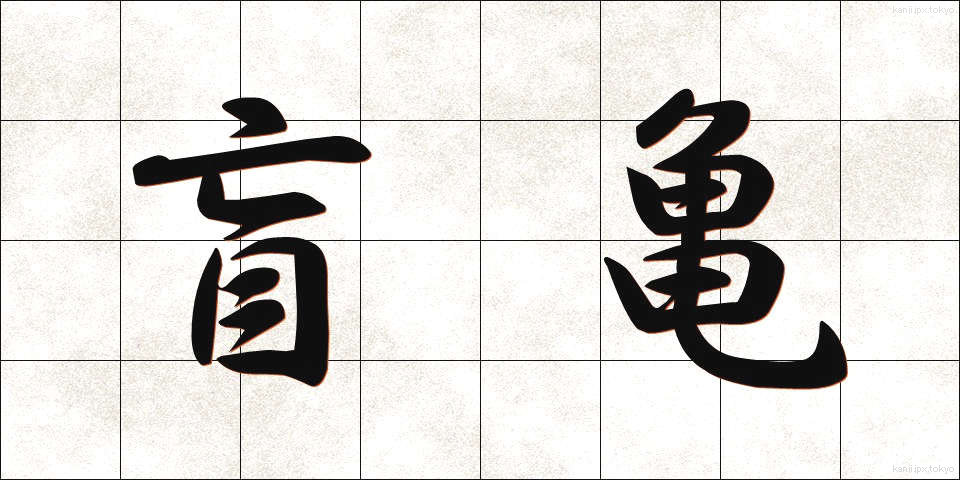 盲亀 (もうき)