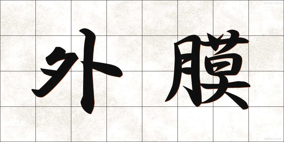 外膜 (がいまく)