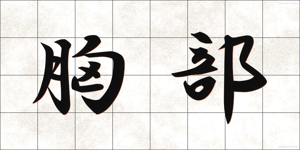 胸部 (きょうぶ)