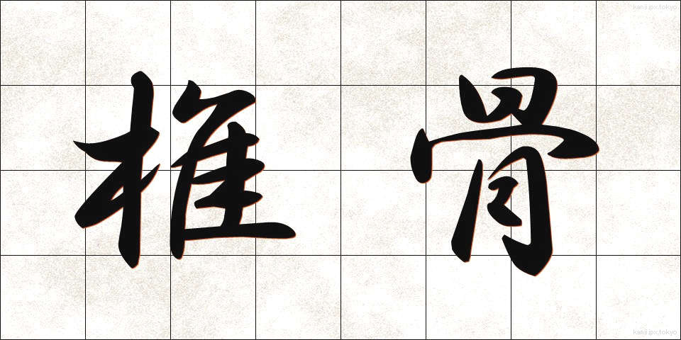 椎骨 (しいこつ)