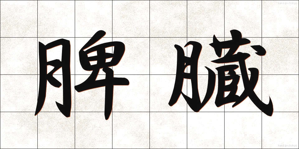 脾臓 (ひぞう)