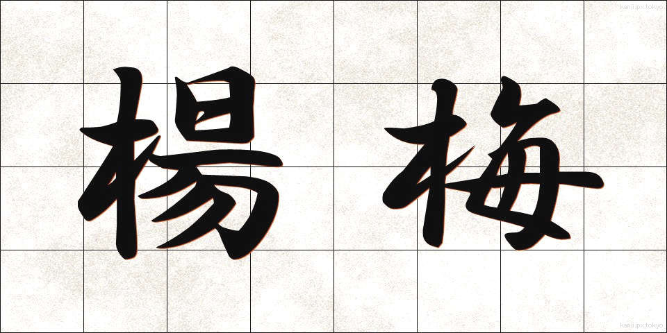 楊梅 (やまもも)