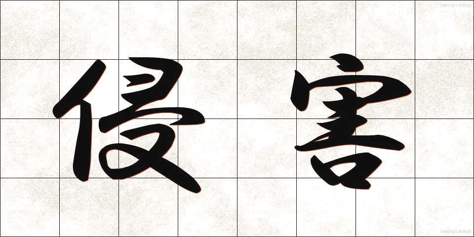 侵害 (しんがい)
