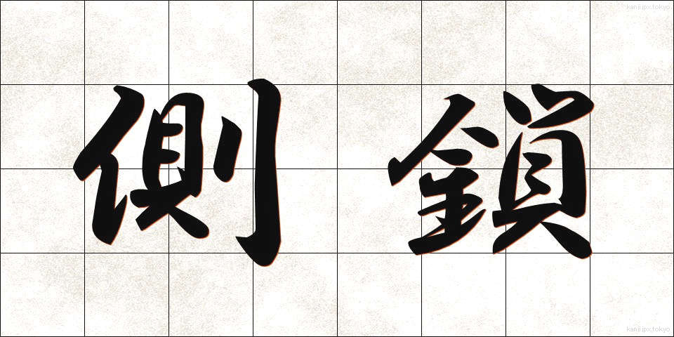 側鎖 (そくさ)