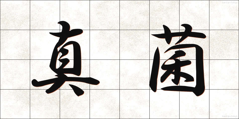 真菌 (しんきん)